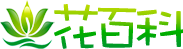 野史百科